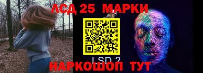 шишки Камышлов