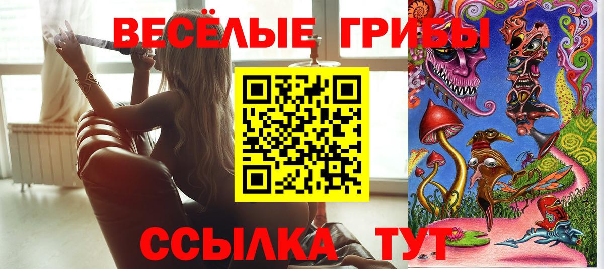 Галлюциногенные грибы Psilocybine cubensis Осинники