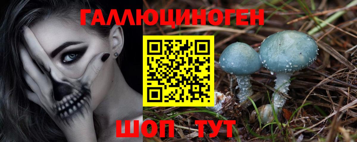 Осинники  Галлюциногенные грибы Psilocybine cubensis  Вход с VPN 